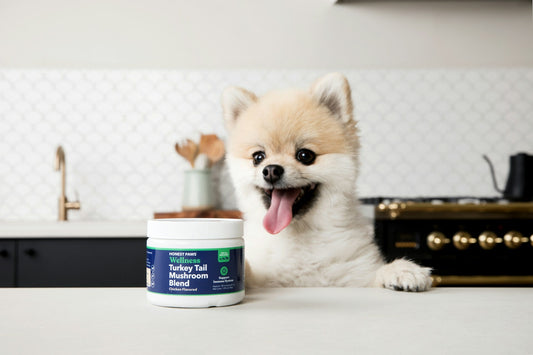 The Ultimate Guide to Choosing Safe and Healthy Pet Supplements