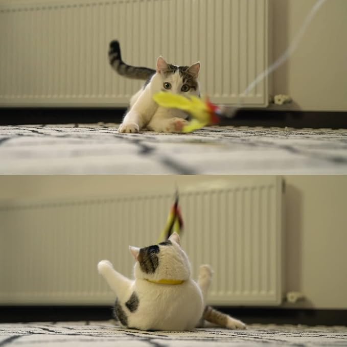 11PCS Cat Feather Toys Refills, 10PCS Feathers and 1PC String, Interactive Cat Wand Toy Replacement for Bored Indoor Adult Cats & Kittens-PurrikoPets