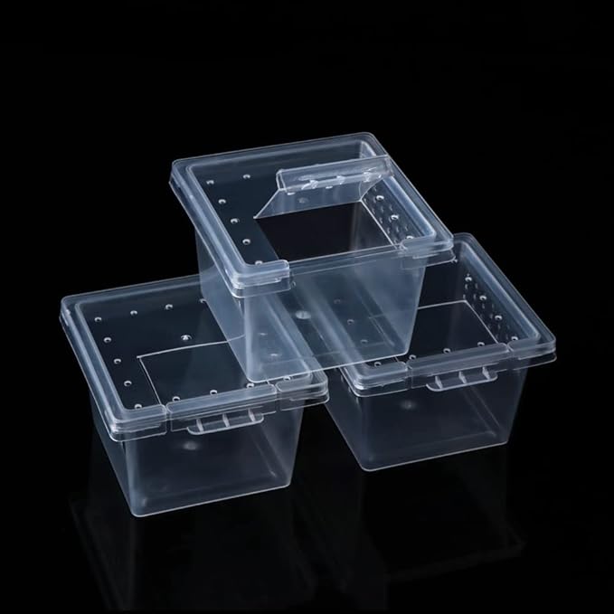 20 Pcs Spider Terrariums Breeding Box Hatching Container Acrylic Feeding Box for Small Reptile Scorpion Centipede Insect (Small Size)-PurrikoPets