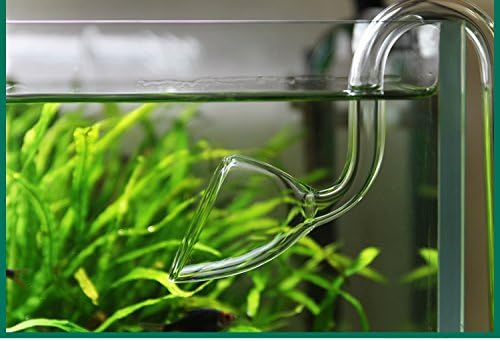 Glass Lily Pipe Outflow for Aquarium Planted Tank (13mm for 12/16mm (1/2" ID) tubing)-PurrikoPets