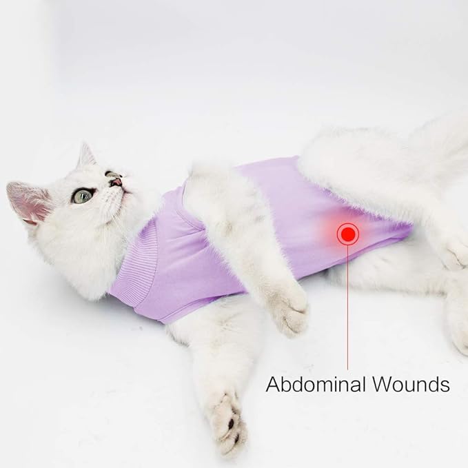 DOTON Cat Recovery Suit for Male and Female Surgical Post Surgery Soft Cone Onesie Shirt Clothes Neuter Licking Protective Diapers Outfit Cover Kitten Spay Collar(M, Purple)-PurrikoPets