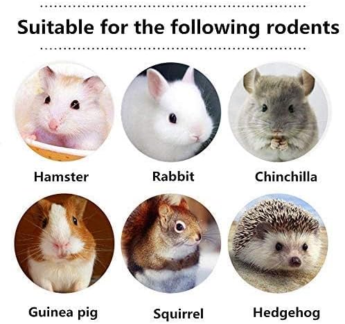 600g Guinea Pig and Rabbit Chew Toys - Sweet Bamboo and Timothy Apple Sticks for Healthy Teeth and Relaxation - Natural and Safe Guinea Pig Chew Toys-PurrikoPets