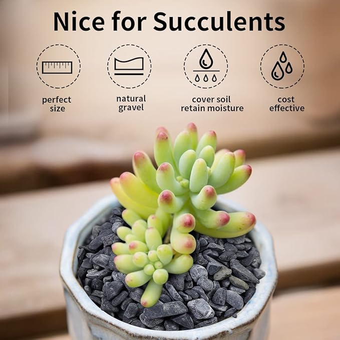 2lbs Black Gravel, 3/8 Inch Black Stones. Decorative Black Rocks for Succulent Plants, Vase, Cactus, Bamboo Plants and Outdoor Garden Landscaping-PurrikoPets