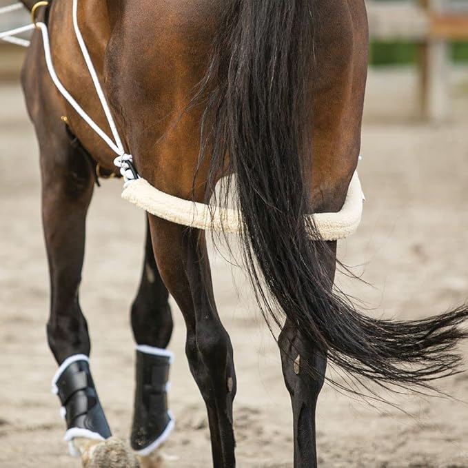 Advanced European Training System | Advanced Training Tool | Enhances Horse Carriage and Headset | Encourages Forward Movement | Strengthens Key Muscles | Not for Beginners-PurrikoPets