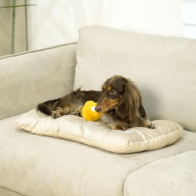 FUNNY FUZZY 2 in 1 Dog Bed Crate Pad Mat, Washable Reversible Pet Floor Mats,Fluffy Kennel Pad for Small Large Sized Dog,Indoor Cats,Sleeping Mattress, 23.6" × 17.9", Beige-PurrikoPets