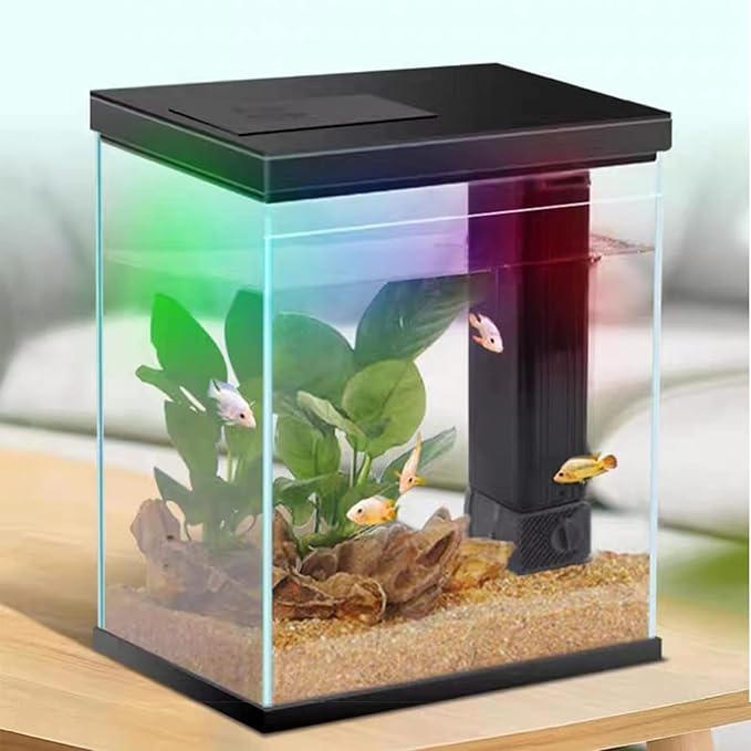Glass Betta Aquarium Starter Kits, 2 Gallon Fish Tank with Heater Filter and Light.-PurrikoPets