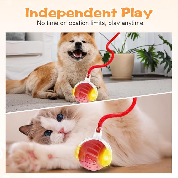 2026 New Interactive Pet Toy Ball, Smart Interactive Toy Ball for Cats & Dogs, Electric Rolling Pet Toy Ball, Rechargeable Interactive Cat Toys for Bored Indoor Cats Kittens to Keep Busy (Red)-PurrikoPets