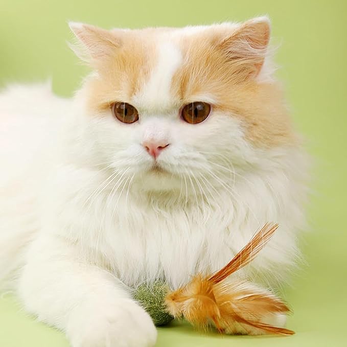 5 Pieces of Catnip Toys Ideal Catnip Ball to Stimulate Cat Exercising and Interacting Toys for Cats-PurrikoPets