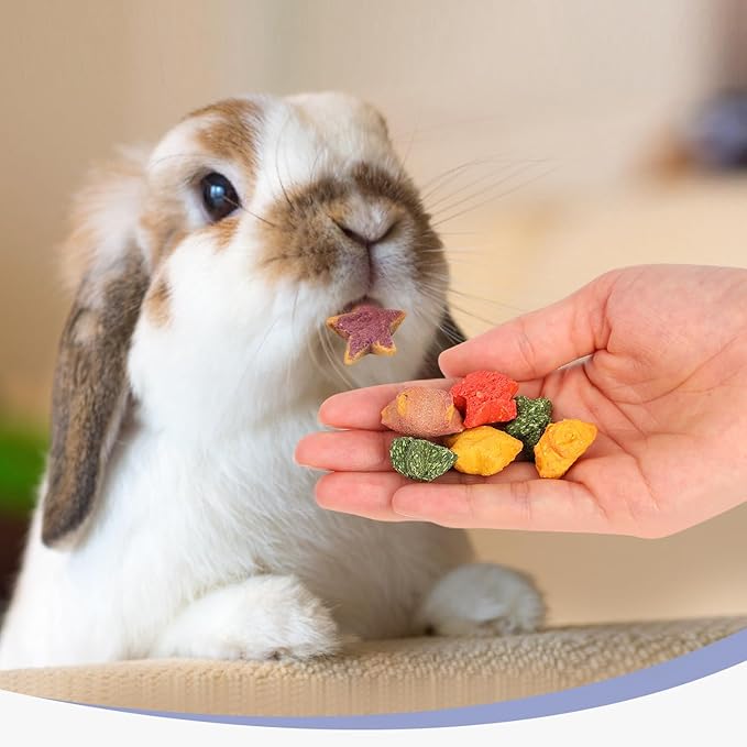 Rabbit Treats, Healthy Bunny Treats Natural Mini Star Shaped Snacks Treats for Pet Rabbits and Small Animals Molar Toys Guinea Pig Hamster Chinchilla Gerbil-PurrikoPets