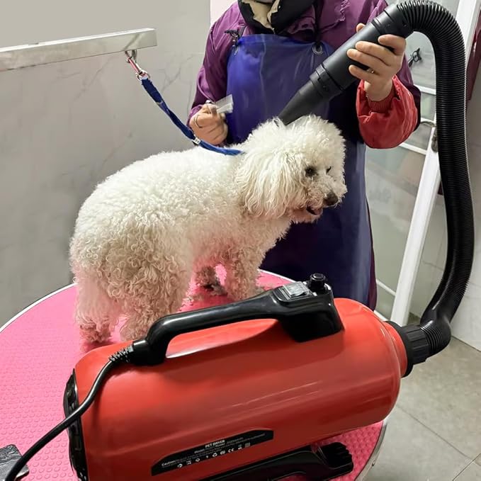Dog Pet Dryer, 3000W High Velocity Pet Dryer Adjustable Speed Dog Grooming Blower Double Motor, Pet Grooming Hair Drying(4HP), Hot Air Dog Hair Dryer Blower with 2 Nozzle-PurrikoPets