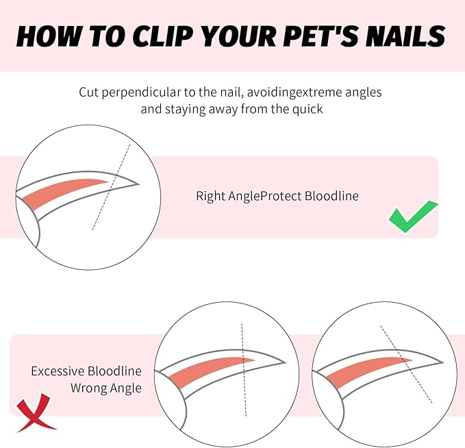 2 PCS Bearded Dragon Nail Clippers, Cat Nail Trimmer, Stainless Steel Cat Claw Clippers, with (White + Pink) Files * 2, Suitable for Reptiles, Novice Pet Families (Orange + Rose Red)-PurrikoPets