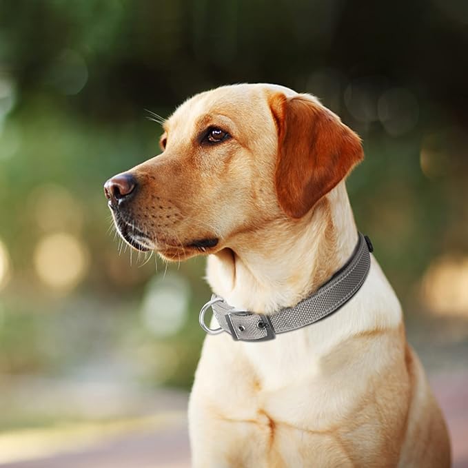 Fida Heavy Duty Dog Collar, Ultra Comfortable Soft Neoprene Padded, Adjustable Reflective Nylon Pet Collar with Durable Metal Belt Buckle for Large Breeds (L, Grey)-PurrikoPets