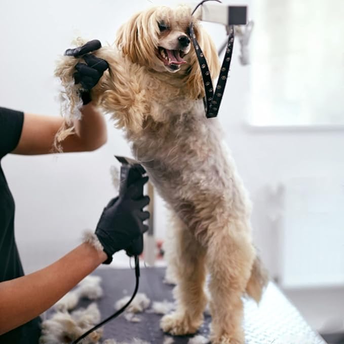 7FC Blades Dog Grooming Clipper Compatible with Andis Pet/Oster A5/Wahl KM Series, Ceramic & Stainless Steel Blade-PurrikoPets