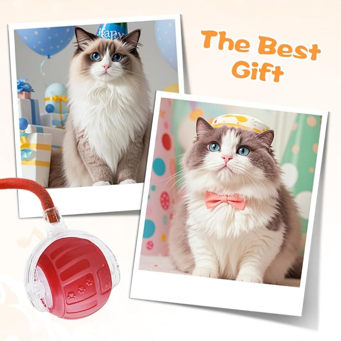 2026 New Interactive Pet Toy Ball, Smart Interactive Toy Ball for Cats & Dogs, Electric Rolling Pet Toy Ball, Rechargeable Interactive Cat Toys for Bored Indoor Cats Kittens to Keep Busy (Red)-PurrikoPets
