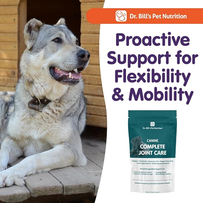 Dr. Bill’s Canine Complete Joint Care – Hip & Joint Supplement for Dogs for Mobility, Muscle Support & Inflammation Relief – Green Lipped Mussel, Chondroitin, Collagen, Omega-3 – Powder, 340g-PurrikoPets