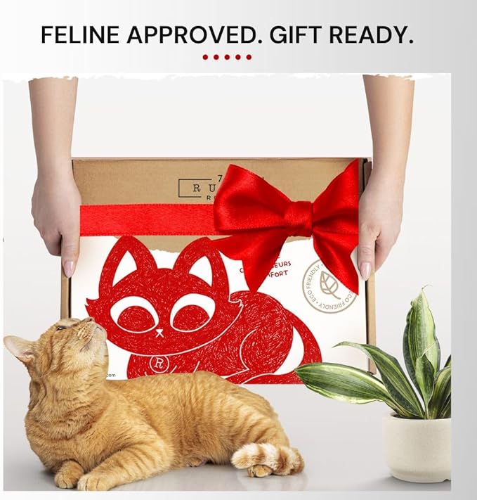 7 Ruby Road Cat Hammock Wall Mounted Shelf with Two Steps Set - Wall Shelves and Perches for Sleeping, Playing, Climbing and Lounging - Modern Cat Bed & Furniture for Indoor and Large Cats or Kitty-PurrikoPets