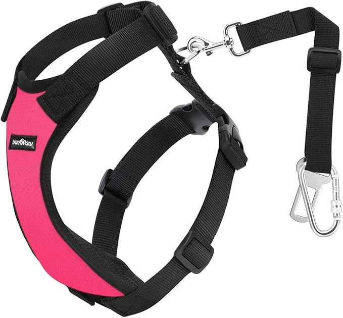 Dog Seat Belt, Safety Vest Dog Car Harness with Adjustable Buckle Dog Seat Belt for Vehicle Nylon Pet Safety Seat Belts Heavy Duty(XXL, Magenta)-PurrikoPets