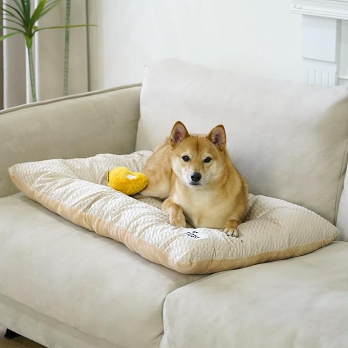 FUNNY FUZZY 2 in 1 Dog Crate Bed Pad for Large Sized Dog, Washable Reversible Pet Soft Mats,Durable Fluffy Kennel Mattress,Indoor Cats, 35" × 23", Beige-PurrikoPets