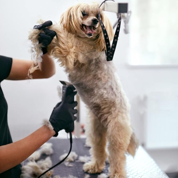 6Pack 10Blades Dog Grooming Replacement Blades Compatible with Andis Pet Clipper/Oster A5/Wahl KM Series Dog Clipper,Ceramic Blade & Stainless Steel Blade (#10+30+5FC+7FC+3FC+4F)-PurrikoPets