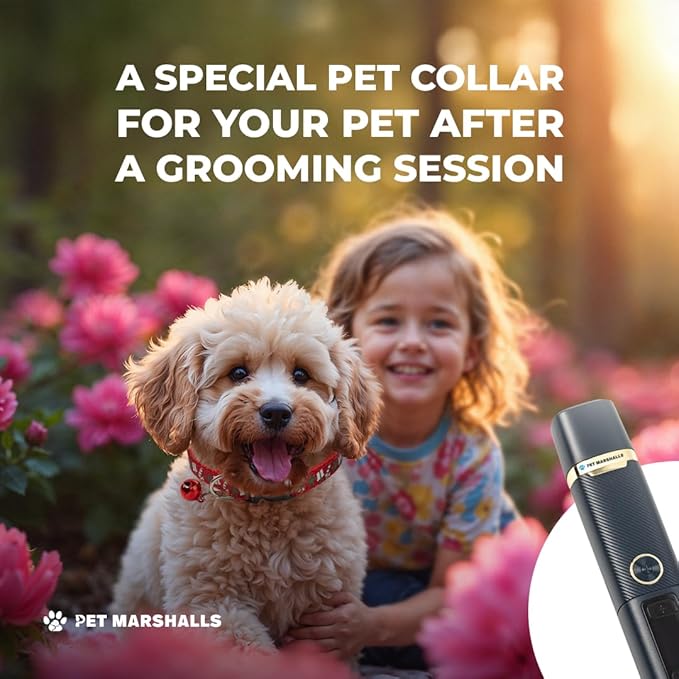 3-in-1 Cat & Dog Nail Grinder with Clipper & File, Quiet LED Trimmer, 3-Speed Pet Grooming Tool, Rechargeable 2000mAh Battery-PurrikoPets