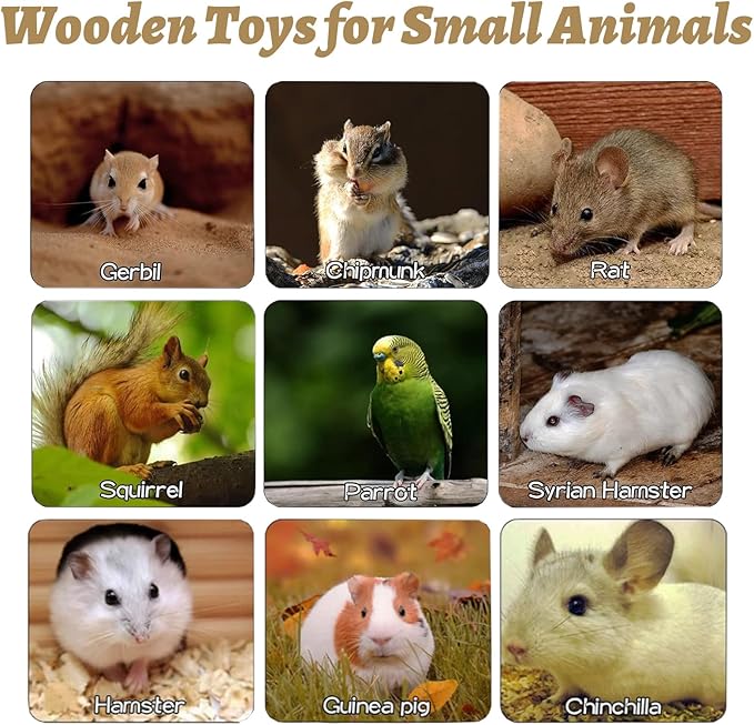 8 Pcs Wooden Hamster Cage Platform Set Wood Juvenile Chinchilla Shelves, Squirrel L-Shape Corner Ledge with Hole Cooling Standing Board Rat Cage Accessories for Gerbil Small Animal Climbing-PurrikoPets