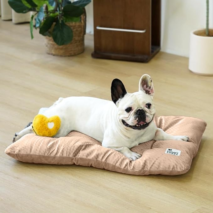 FUNNY FUZZY 30x20 Washable Dog Bed Crate Mat, 2 in1 Pet Pillow Sleeping Bed, Fluffy Deluxe Kennel Mattress for Medium Dog and Cat,Charcoal Grey,M,Beige-PurrikoPets