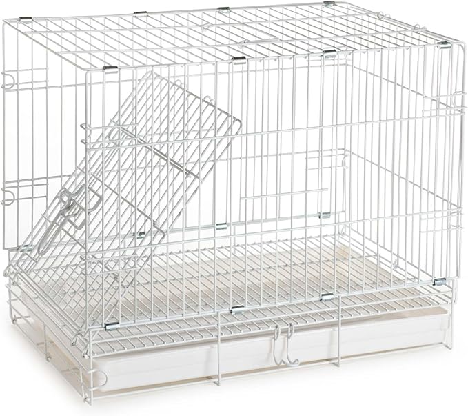 Durable Easy Portable Metal Travel or Veterinary Collapsable Parrot Bird Carrier Beaks Proof Cage with Stainless Steel Feeder Bowls Natural Wooden Perch Stand-PurrikoPets