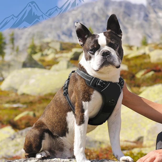 Eagloo Dog Harness Medium Sized Dog, No Pull Service Vest with Reflective Strips and Control Handle, Adjustable and Comfortable for Walking, No Choke Pet Harness with 2 Metal Rings, Black, M-PurrikoPets