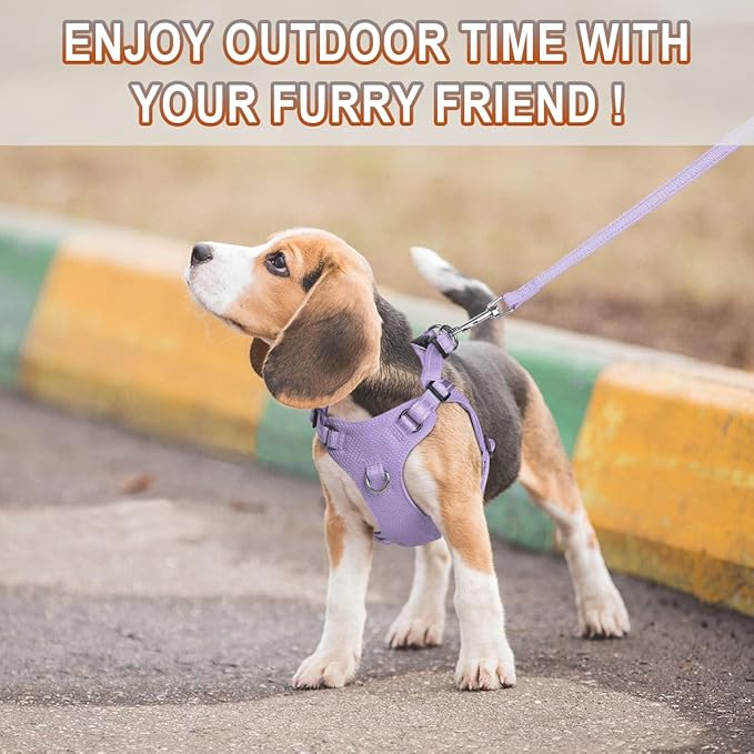 Dog Harness Step in Dog Vest Harness, Reflective Adjustable Puppy No Pull Harness Breathable Soft for Small and Medium Dogs Cats, Violet Purple, XS-PurrikoPets