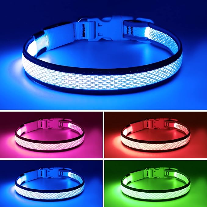 Flashseen LED Dog Collar, Light Up Dog Collar USB Rechargeable, Brightest Dog Lights for Night Walking, Adjustable Dog Collar Light for Dog Safety(Medium, Royal Blue)-PurrikoPets