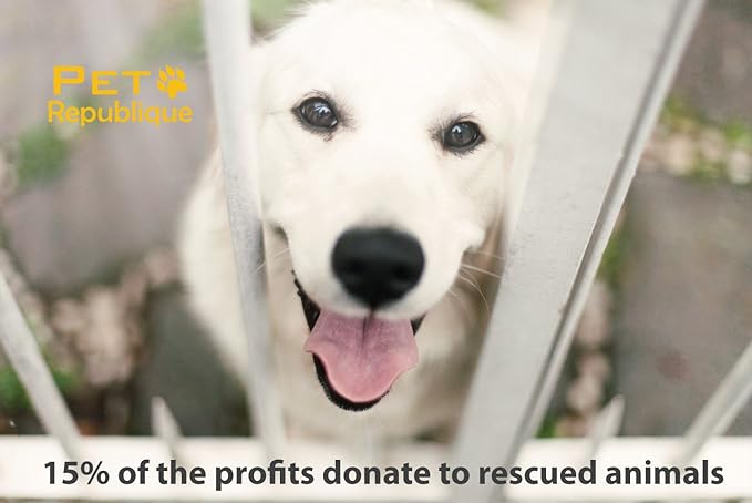 Dog Nail Grinder by Pet Republique - 2 Speed Electric Rechargeable Nail Grinder - Gentle, Quiet, Low, Painless Nail Trimmer - Multi-Setting Grinder for Any Small or Medium Dog, Cat, and Pet Claw-PurrikoPets