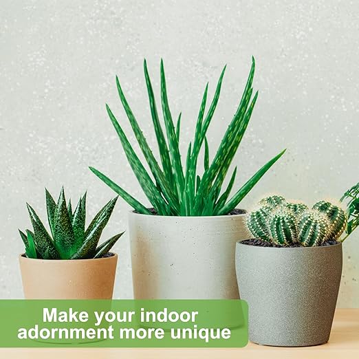 5 lbs Pebbles for Indoor Plants, Succulent, Cactus, 1/5 Inch Small Lava Rock for Plants Drainage, Natural Horticultural Volcanic Rock, Top-Dressing-PurrikoPets