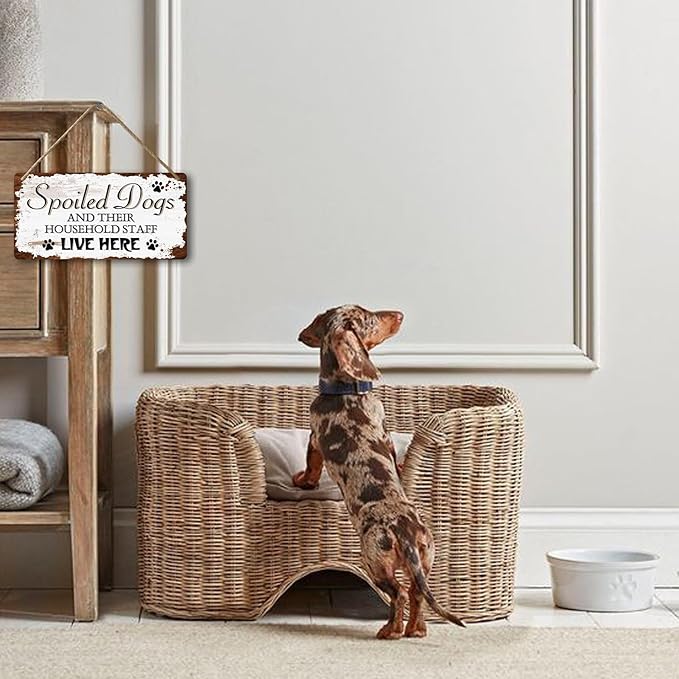 Dog Signs For Home Decor Gifts For Dogs Owners Dog Bedroom Decor Wood Dog Family Decoration Dog Room All You Need Is Love And A Dog Sign Spoiled Dogs And Their Household Staff Live Here Signs 12x6 In-PurrikoPets