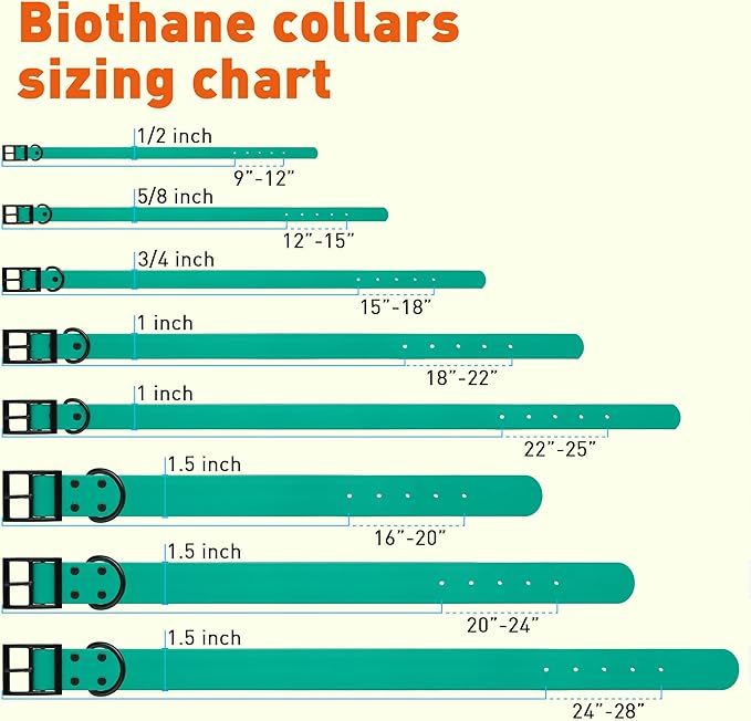 Dogline Biothane Waterproof Dog Collar Strong Coated Nylon Webbing with Black Hardware Odor- Proof for Easy Care Easy to Clean High Performance Fits Small Medium or Large Dogs, Teal-PurrikoPets