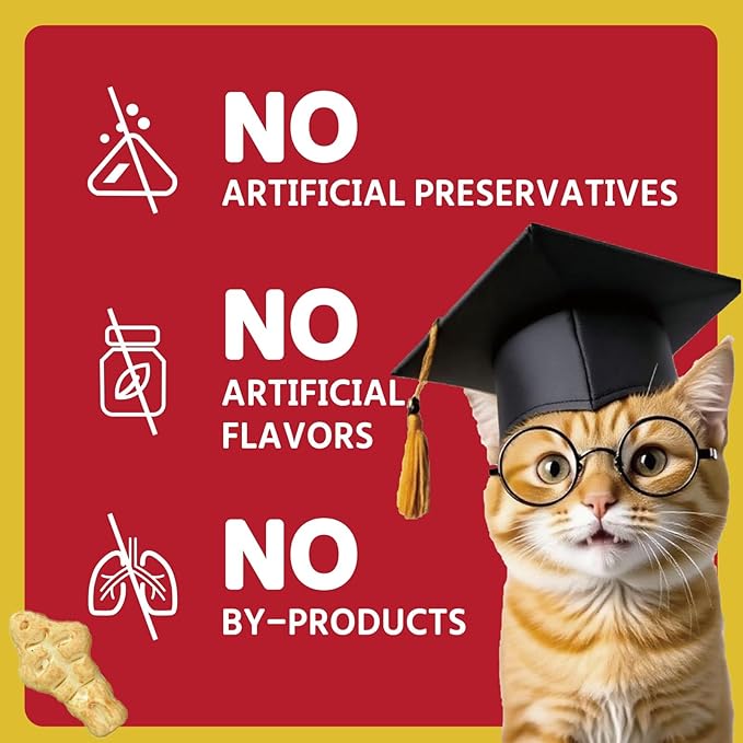 1.1lb / 500g Cat Grass Treats for Indoor Cats - 17.6 oz Natural Chicken Flavor, Healthy Snacks for All Life Stages, Crunchy Training Biscuits with Dental Care & Hairball Control-PurrikoPets