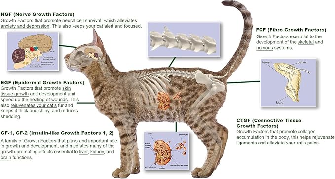 Feline Peptides, Peptides for Cats, Life Extending Cat Supplement, Immune Supplement, Joint Supplement, Skin and Coat Supplement for Cats, 60 Tablets-PurrikoPets