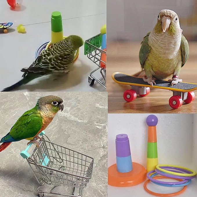 6pcs Interactive Puzzle Toy Set for Small Parrots - Training, Stress Relief, Include Coin Box, Bell Ball, Skateboard & Ferrule Toy for Bird Budgies, Cockatiels, Parakeet etc-PurrikoPets