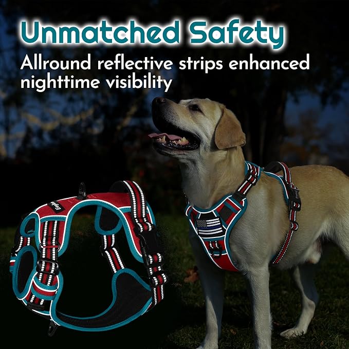 Eagloo Dog Harness Small Sized, Easy Wearing with 3 Buckles, Adjustable No Pull Pet Harness with 2 Rings for Walking, No Chock Reflective Soft Padded Vest with Control Handle, Red & Teal, S-PurrikoPets