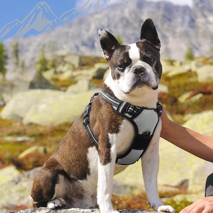 Eagloo Dog Harness Medium Sized Dog, No Pull Service Vest with Reflective Strips and Control Handle, Adjustable and Comfortable for Easy Walking, No Choke Pet Harness with 2 Metal Rings, Grey, M-PurrikoPets