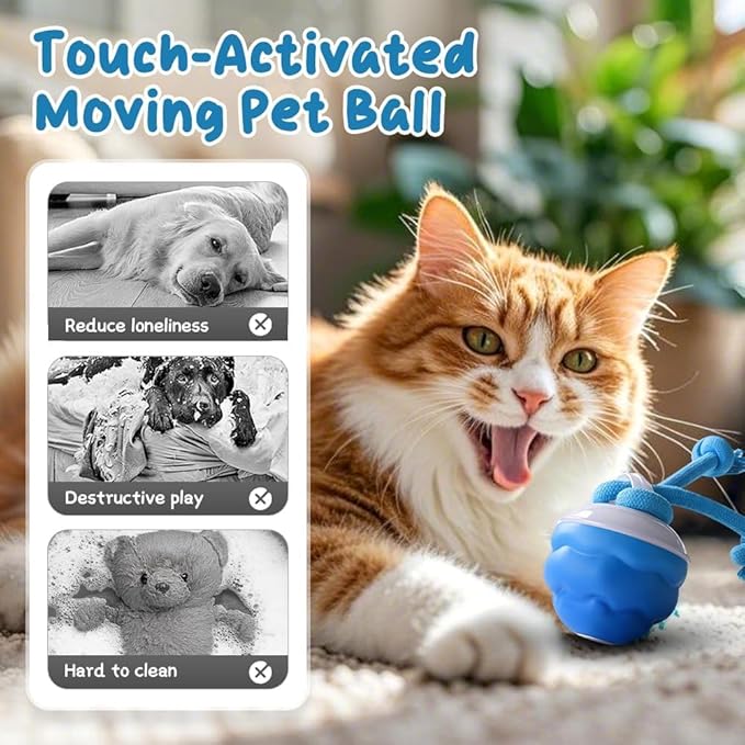 2026 New Interactive Pet Toy Ball, Smart Interactive Ball for Cats & Dogs, Electric Rolling Pet Toy Ball, Rechargeable Interactive Cat Toys for Bored Indoor Cats Kittens to Keep Busy (Orange)-PurrikoPets
