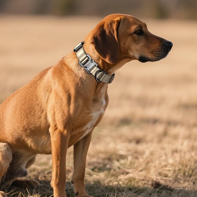 Airtag Dog Collar - Leather Dog Collar with Airtag Holder| IP68 Waterproof AirTag Holder with Metal Buckle, Comfortable GPS Dog Collars Tracker for Medium Large Dogs (Champagne Gold, XL)-PurrikoPets