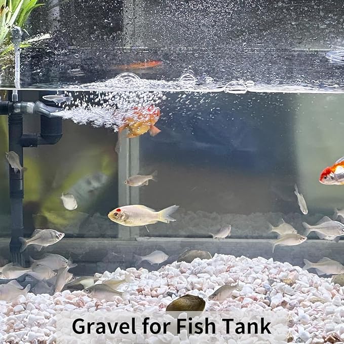 10LB Natural Succulent Gravel Decorative White Rocks - 3/8'' Small White Pebbles for Plants, Decorative Stones, Succulent Rocks Pebbles for Planter, Aquarium Pea Gravel for Landscaping-PurrikoPets