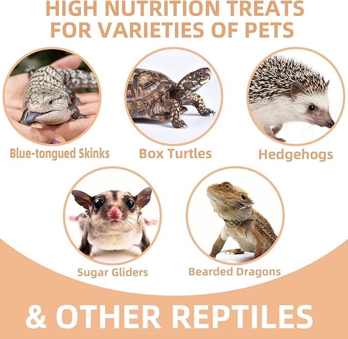 Freeze Dried Crickets – 2.8 Oz High Protein Freeze Dried Crickets, Food for Reptiles, Bearded Dragons, Lizards, Geckos, Birds, Fish,Hedgehogs, Bearded Dragon Food-PurrikoPets