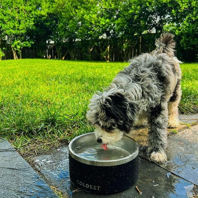 Coldest Dog Bowl - Anti Rust Metal, Non Slip, 3 Layers Insulated Stainless Steel Dog Bowls - Spill Proof & Heavy Duty - Water Bowl for Dogs, Cats, Dish Washer Safe (42 oz, Polished Stainless Steel)-PurrikoPets