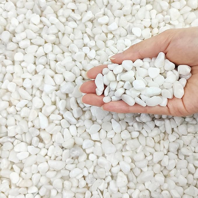 2 Pounds White Pebbles for Indoor Plants, 3/8 Inch Polished White Rocks, Decorative River Rocks for Potted Plants Vase Cactus Bird Bath and Outdoor Garden Landscaping-PurrikoPets
