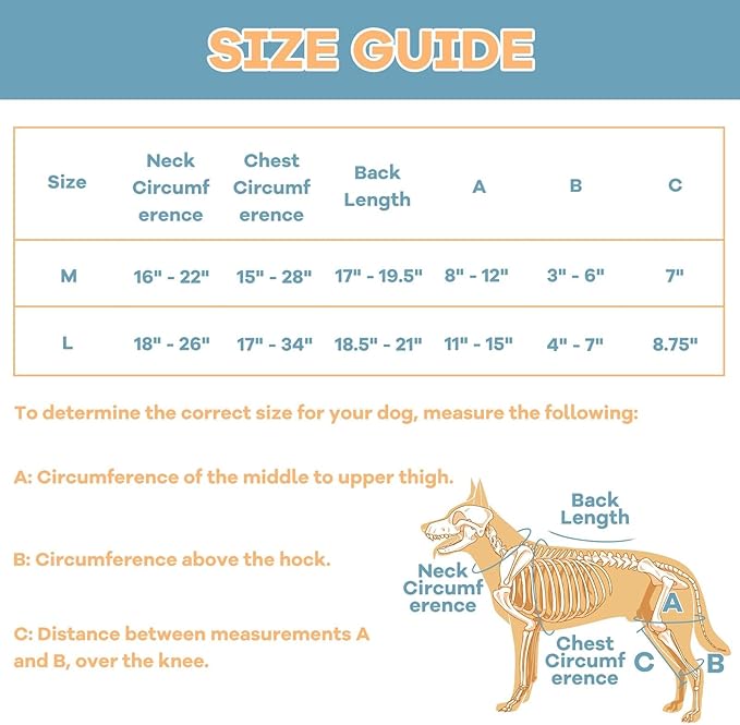 Dog Knee Brace with Adjustable Support – ACL & CCL Tear Recovery, Post-Surgery Stabilization, Mobility Aid for Rear Legs – Includes Secure Chest Harness for Dogs(Right,L)-PurrikoPets