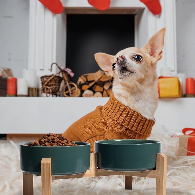 Elevated Ceramic Dog Bowl Set - Raised Feeding Bowls with Non-Slip Bamboo Stand - Small Pet Dishes for Food and Water - Ideal for Cats and Puppies - 16.23 OZ - 2 Cups - 480 ML-PurrikoPets
