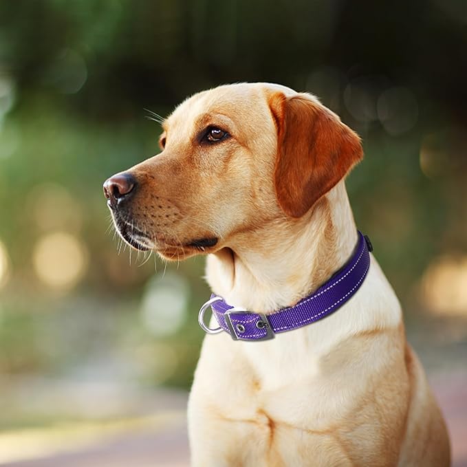Fida Heavy Duty Dog Collar, Ultra Comfortable Soft Neoprene Padded, Adjustable Reflective Nylon Pet Collar with Durable Metal Belt Buckle for Large Breeds (L, Purple)-PurrikoPets