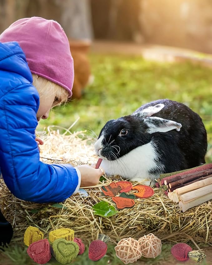 ERKOON 33PCS Bunny Chew Toys for Rabbits Teeth, Natural Rabbit Toys Apple Wood Sticks, Carrot, Timothy Grass Toys for Small Pets, Hamster, Chinchilla, Guinea Pig Dental Care and Treat Teething Toys-PurrikoPets