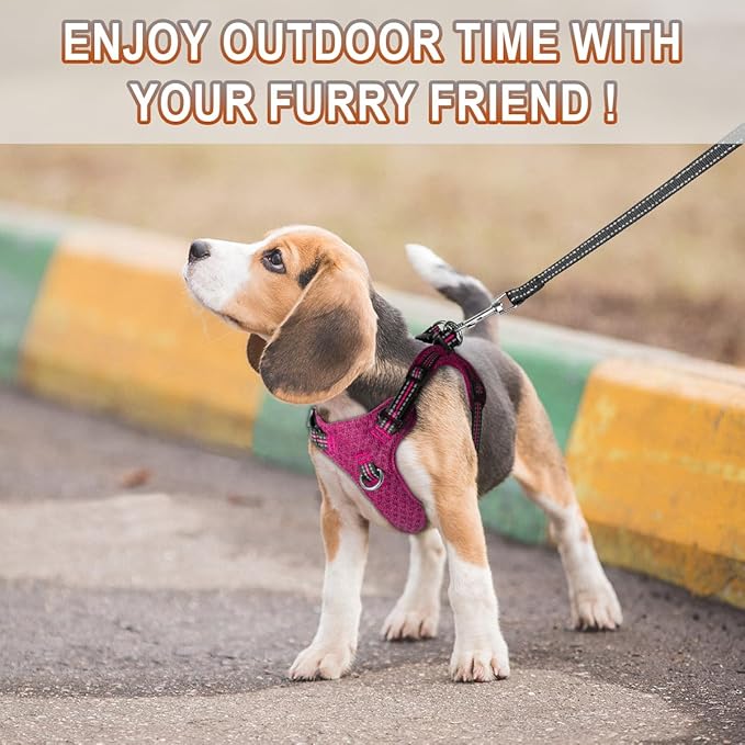 Dog Harness Step in Dog Vest Harness, Reflective Adjustable Puppy No Pull Harness Breathable Soft for Small and Medium Dogs Cats, Pink/Black, S-PurrikoPets